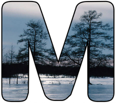 Winter-Buchstabe-M.jpg